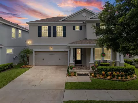 7117 Park Tree Dr, Tampa, FL 33625
