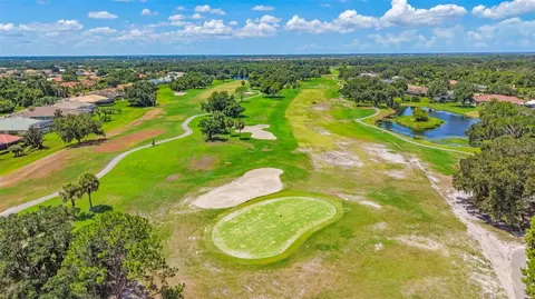 View/Area - 2941 Wilderness Blvd E, Parrish, FL 34219 photo 5 of 14