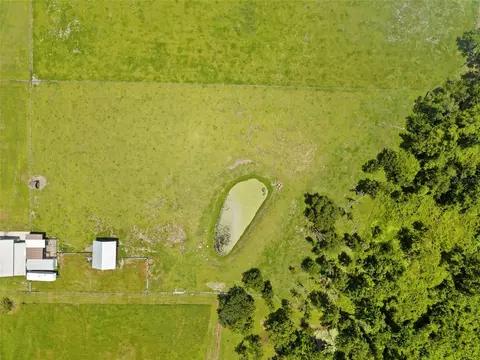 View/Area - 15710 Colding Loop, Wimauma, FL 33598 photo 4 of 4