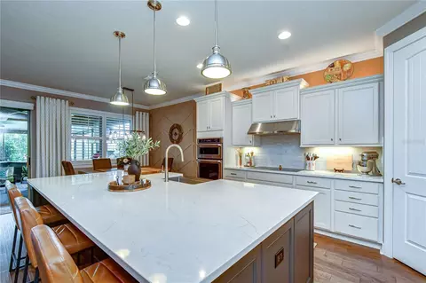 Kitchen - 10405 Tree Skylark Pl, Riverview, FL 33569 photo 3 of 6