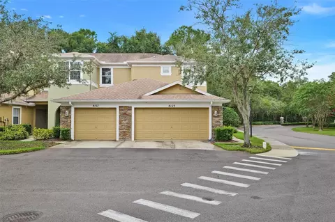 8169 Stone Leaf Ln, Tampa, FL 33647