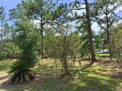 17044 Eldridge Ave, Spring Hill, FL 34610 photo 34