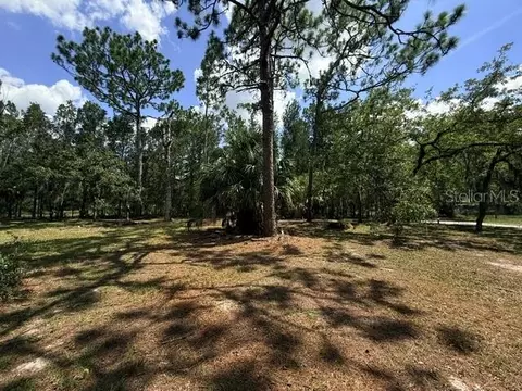 17044 Eldridge Ave, Spring Hill, FL 34610 photo 37