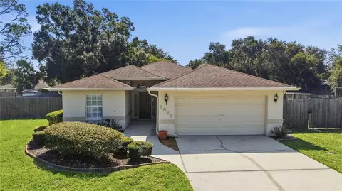 3828 Hollow Oak Pl, Land O Lakes, FL 34639