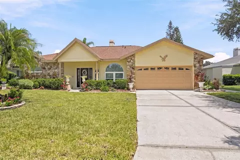 23427 Pine Lake St, Land O Lakes, FL 34639