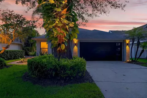 14506 Clifty Ct, Tampa, FL 33624