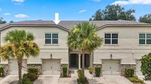14140 Damselfly Dr, Tampa, FL 33625