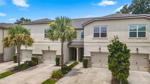 14140 Damselfly Dr, Tampa, FL 33625