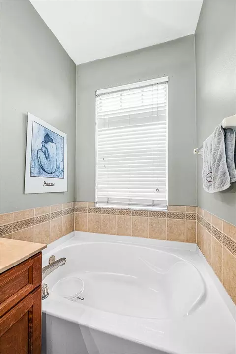 Bath - 11217 Laurel Brook Ct, Riverview, FL 33569 photo 2 of 3