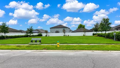 Other - 13524 Wild Ginger St, Riverview, FL 33579 photo 14 of 14