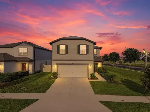 Exterior - 9018 Rally Spring Loop, Wesley Chapel, FL 33545 photo 6 of 6