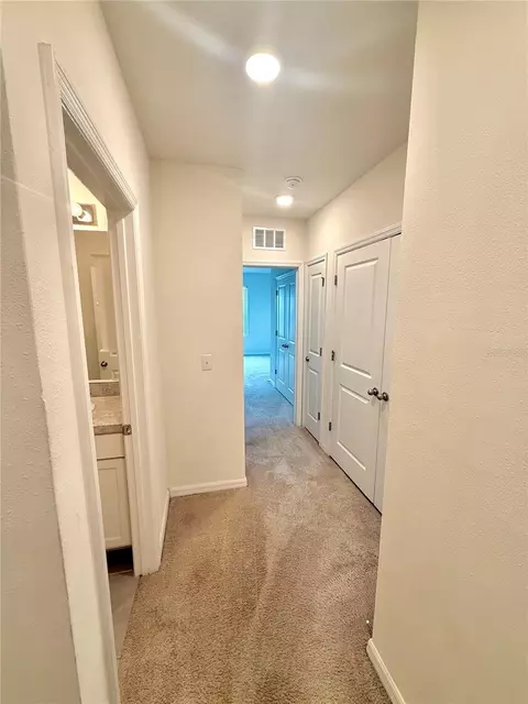 Entry Way - 8771 Falling Blue Pl, Riverview, FL 33578 photo 7 of 8