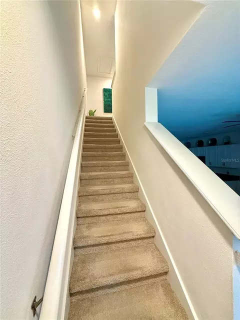 Entry Way - 8771 Falling Blue Pl, Riverview, FL 33578 photo 4 of 8