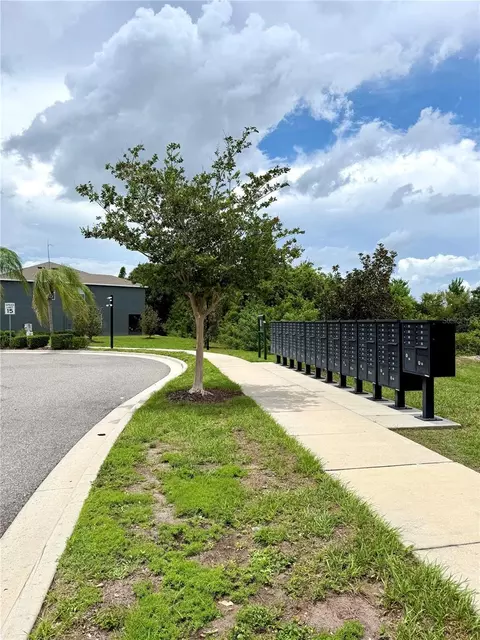 View/Area - 8771 Falling Blue Pl, Riverview, FL 33578 photo 1 of 1