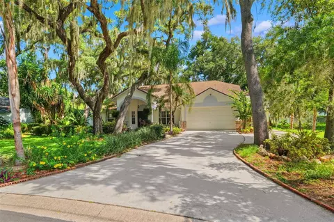 2770 Buckhorn Oaks Dr, Valrico, FL 33594