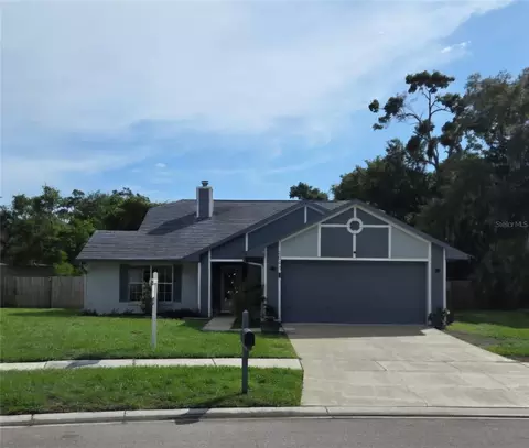 2041 Shadow Pine Dr, Brandon, FL 33511