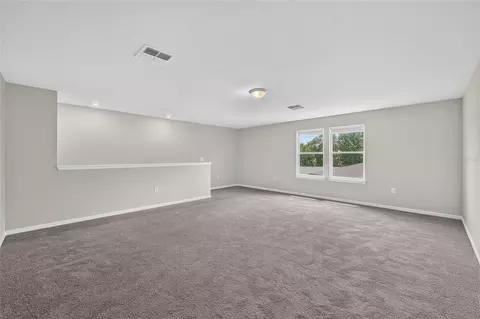Other - 6708 Devlin Ln, Wesley Chapel, FL 33545 photo 6 of 8