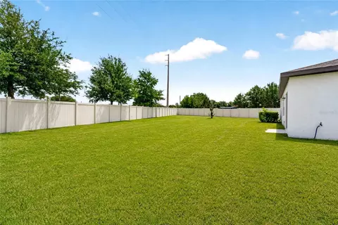 Exterior - 6708 Devlin Ln, Wesley Chapel, FL 33545 photo 3 of 7