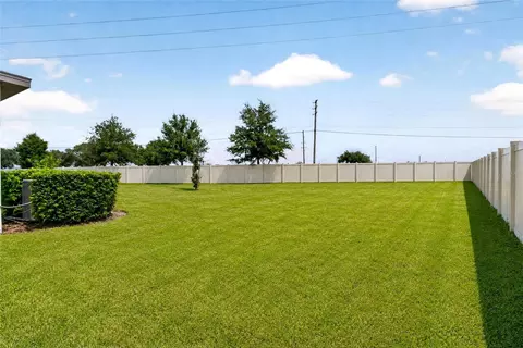 Exterior - 6708 Devlin Ln, Wesley Chapel, FL 33545 photo 4 of 7
