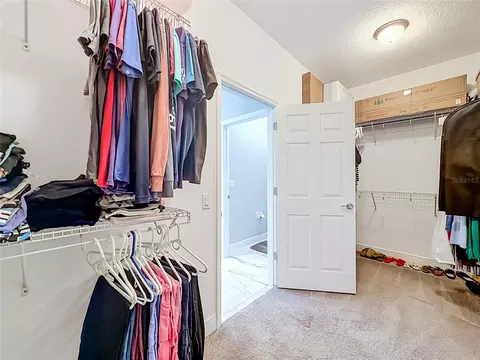 Other - 19563 Leonard Rd, Lutz, FL 33558 photo 3 of 11