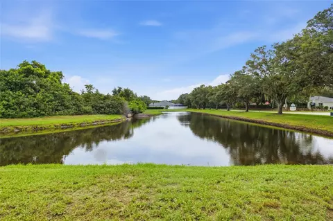 View/Area - 11009 Winter Crest Dr, Riverview, FL 33569 photo 1 of 1