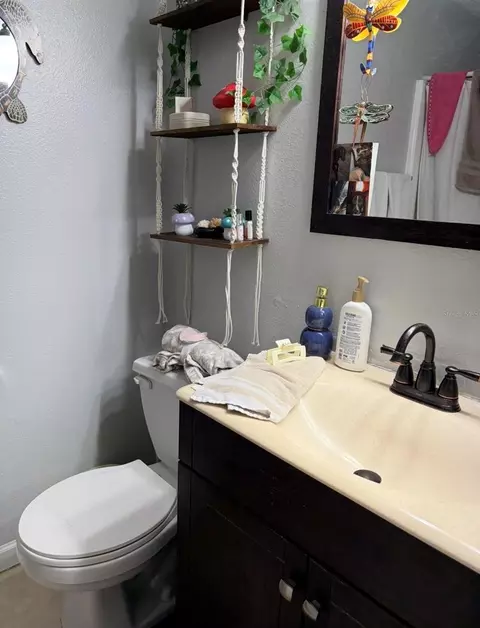 Bath - 245 Red Maple Pl, Brandon, FL 33510 photo 3 of 3