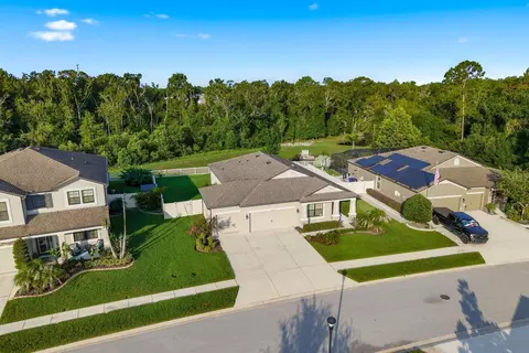 View/Area - 18624 Malinche Loop, Spring Hill, FL 34610 photo 3 of 15