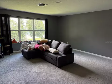 12332 Belcroft Dr, Riverview, FL 33579 photo 5
