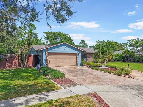 15911 Ironware Pl, Tampa, FL 33624