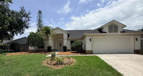 9207 Mill Cir, Tampa, FL 33647