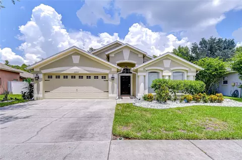 19707 Ellendale Dr, Land O Lakes, FL 34638