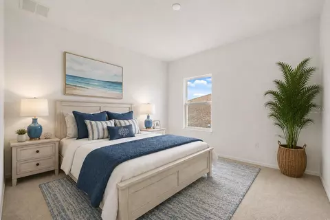 Bedroom - 12105 Orchid Ash St, Riverview, FL 33579 photo 5 of 5