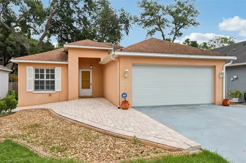 8711 Busch Oaks St, Tampa, FL 33617
