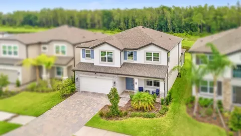 10726 New Morning Dr, Tampa, FL 33647