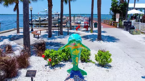 View/Area - 1613 St Catherine Dr E, Dunedin, FL 34698 photo 9 of 12