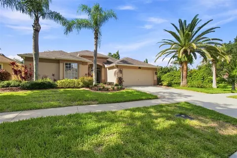 Exterior - 10113 Cannon Dr, Riverview, FL 33578 photo 16 of 17
