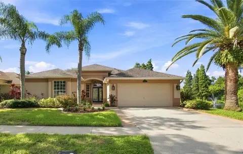 Exterior - 10113 Cannon Dr, Riverview, FL 33578 photo 17 of 17