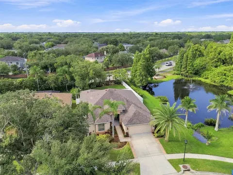 View/Area - 10113 Cannon Dr, Riverview, FL 33578 photo 2 of 7