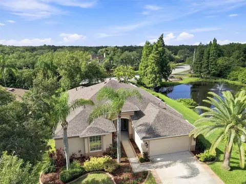 View/Area - 10113 Cannon Dr, Riverview, FL 33578 photo 3 of 7