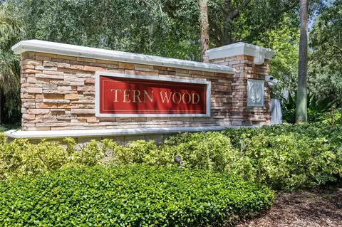 View/Area - 15910 Ternglade Dr, Lithia, FL 33547 photo 2 of 6