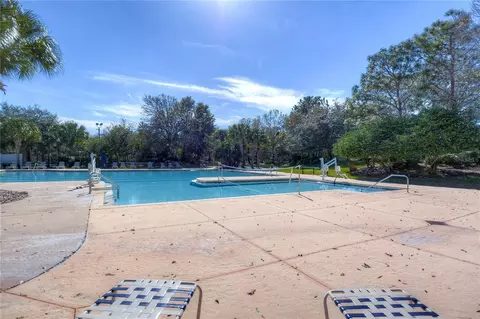 Exterior - 15910 Ternglade Dr, Lithia, FL 33547 photo 21 of 30