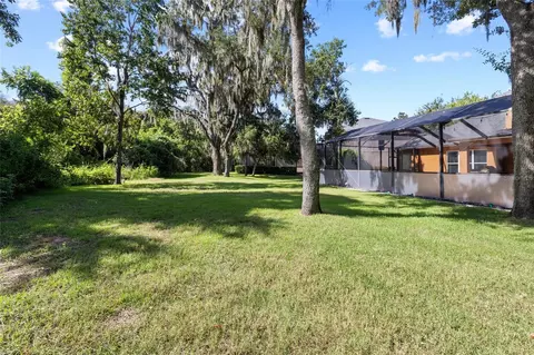 Exterior - 15910 Ternglade Dr, Lithia, FL 33547 photo 15 of 30