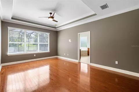 Living - 15910 Ternglade Dr, Lithia, FL 33547 photo 11 of 15