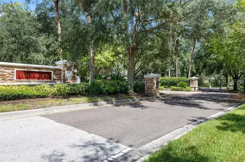 View/Area - 15910 Ternglade Dr, Lithia, FL 33547 photo 1 of 6
