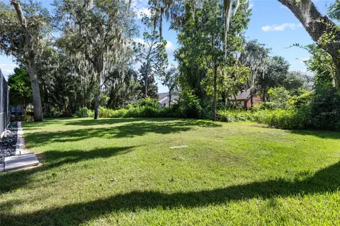 Exterior - 15910 Ternglade Dr, Lithia, FL 33547 photo 13 of 30