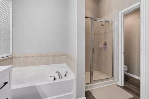 Bath - 11326 Laurel Brook Ct, Riverview, FL 33569 photo 2 of 4