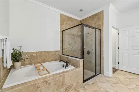 Bath - 1657 Feather Grass Loop, Lutz, FL 33558 photo 4 of 15