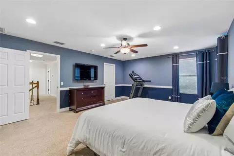Bedroom - 1657 Feather Grass Loop, Lutz, FL 33558 photo 13 of 14