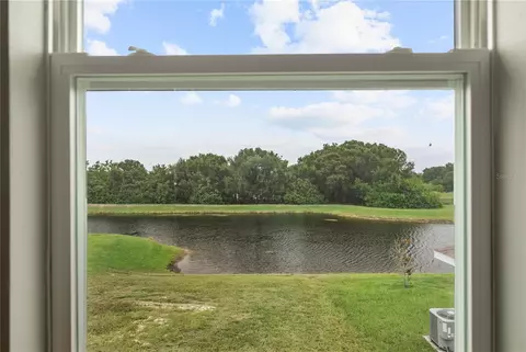 View/Area - 11722 White Willow Ln, Riverview, FL 33569 photo 1 of 4