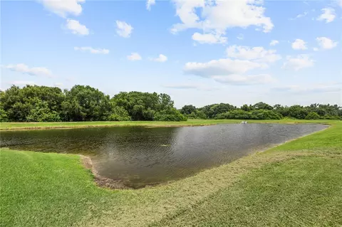 View/Area - 11722 White Willow Ln, Riverview, FL 33569 photo 3 of 4